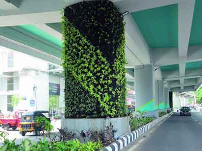 Vertical Garden